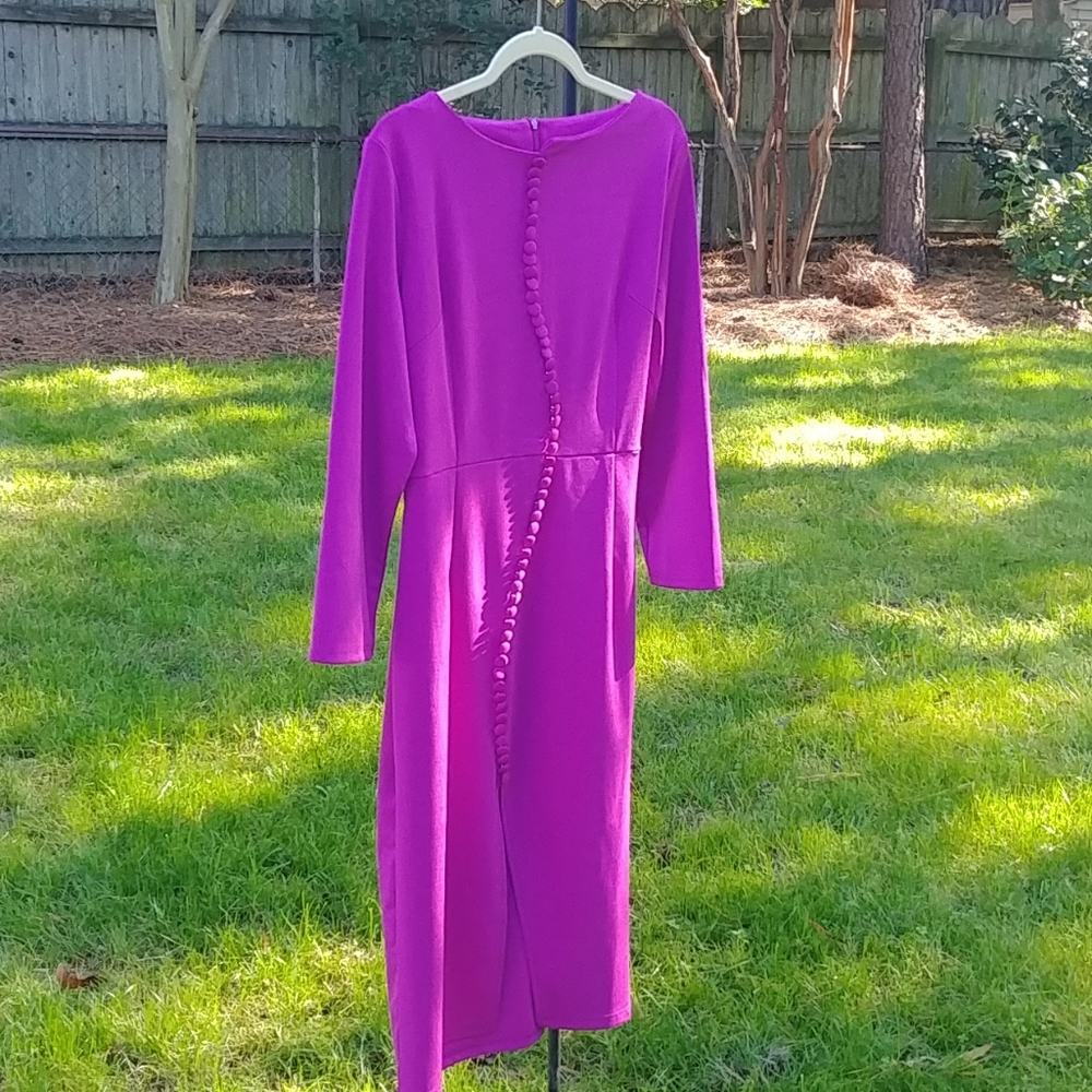 Stylwe Fushia Fitted Dress with Button-Detail